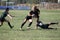 Odessa, Ukraine - August 22, 2020: Ukrainian Cup among women rugby teams Odessa. Tense moment of girls` rugby fight. Dramatic