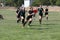 Odessa, Ukraine - August 22, 2020: Ukrainian Cup among women rugby teams Odessa. Tense moment of girls` rugby fight. Dramatic