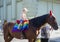 Odessa, Ukraine. July 22th 2018. Horse decked in pride colors. Horse riding - little girl is riding a horse