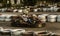 ODESSA, UKRAINE - June 19, 2019: karting. Racers on races on special safe high-speed tracks limited by car tires. Attraction High-