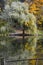 Odintsovo. autumn forest. trees in the forest. yellow foliage.