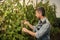 oenologist cutting grapevine with garden scissors, vineyard