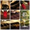 Oenology and wine collage