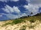 Off the beaten path isolated sand dune empty beach with vegetation and palms