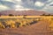 Off-road 4x4 jeep dirt track in Sossusvlei Namibian desert landscape