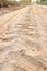 Off road 4X4 wheel tracks on country desert beach road sand motoring