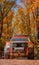 Off road driving in the autumn colorful woods 7/10/2019 - Krasnodar, Russia