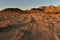 Off road golden morning Mojave desert landscape