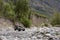 Off road suv moving on rocky bottom of dried river. Outdoor landscape. Adventure travel. Off road trail concept. Offroad car.