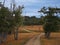 Off road track through Patagonian forrest.