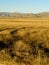 Off road tracks through grassy plain