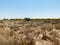 Off-road vehicle in arid meadow