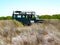 Off-road vehicle parked in a meadow with green trees