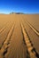 Off road vehicle tracks at Coral Pink Sand Dunes State Reserve in southern UT