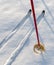 Off-track skis and ski pole on snow