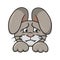 Offended gray rabbit, animal emotions, dissatisfied hare, vector illustration in cartoon style