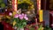 Offerings at a Chinese temple, this video showcases flowers, incense, and fruits