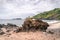 Offerings to the Balinese Hindu Gods and Demons placed on a coastal rock