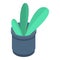 Office flower pot icon, isometric style