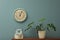 Office interior with houseplant and clock on wall