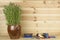 Office shelf stapler and a flower pot with lavender.