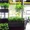 Office space interior with green plant corner for relaxing
