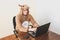 Office worker in cosplay costume of a cow. Guy in the funny animal pyjamas sleepwear near the laptop. Parody on manager