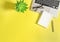 Office workplace flat lay Laptop notebook green succulent yellow