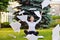 Office yoga. Business lady in lotus pose sits on green grass throws paper over head. Recreation of office staff. Positive emotions