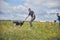 Officers training detection dogs in grassy field