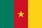 Official colors and proportions of the flag of Cameroon.