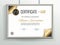 Official grey vector certificate with gold black design elements and realistic grey border hanging on the wall