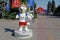 Official mascot of the 2018 FIFA World Cup wolf Zabivaka standing on the alley of Heroes in Volgograd
