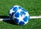 Official match ball of UEFA Champions League season 2018/19 Adidas Finale Top training on grass