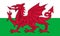 Official vector flag of Wales