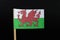 A official and very original flag of Wales on toothpick on black background. Consists of Per fess Argent and Vert, a dragon