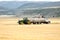 Offloading freshly harvested wheat into a truck.