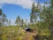 Offroad adventure on Toyota in the forests of Karelia