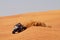 Offroad buggy in the desert