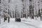 Offroad car standing on snowy forest road, copyspace