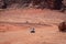 Offroad vehicle and camels in Wadi Rum desert, Jordan