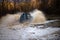 Offroading. Scene of wather splash in off-road racing. A car during a tough off-road competition diving in a muddy pool