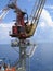 Offshore Crane