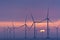 Offshore windfarm Lillgrund dawn, Sweden