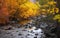 Ogden river with bright autumn tree reflections in Utah