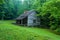 Ogle Cabin, Roaring Fork Area, Smokies