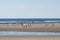 Ogunquit Beach, Maine, with Beach Goers Playing