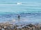 Ogunquit Beach, Maine, with Fisherman on Rocks