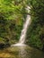 Ohau stream seal pubs, waterfall near Kaikoura on the South Island of New Zealand