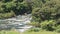 Ohinemuri river flowing through the Karangahake gorge